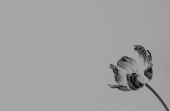 airdrop crypto bitcoin3