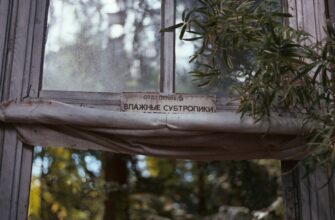 airdrop crypto download3