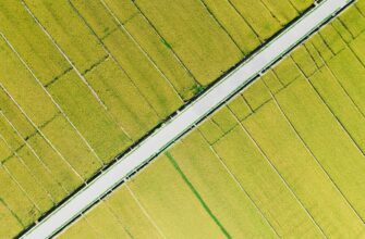 airdrop crypto farming3