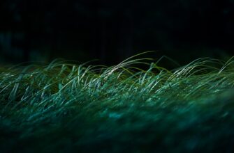 airdrop crypto grass3