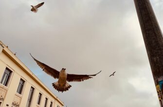 airdrop crypto hunting3