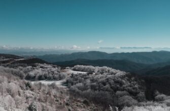 obzor birzhi bybit kak torgovat na bajbit instrukcija8