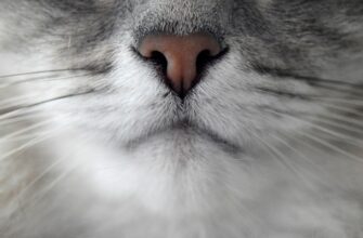 vyvod usdt s binans na metamask6