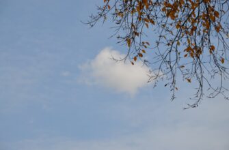 airdrop crypto november3