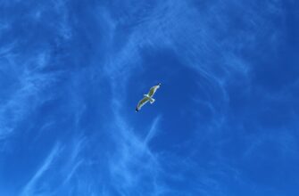 airdrop crypto now3