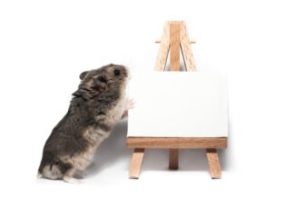 auction kriptovaljuta novosti3