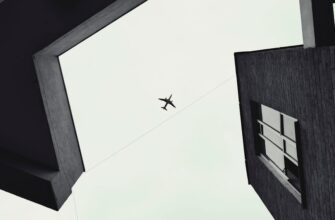 bombie airdrop crypto3