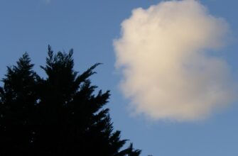 kak deklarirovat airdrop dohod v belarusi nalog na pribyl
