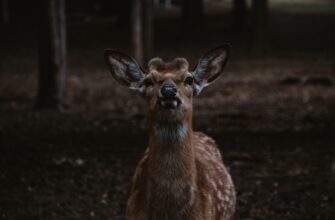 kak obezopasit metamask anonichno poshagovo