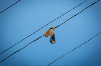 kak pretendovat zk airdrop bez komissii