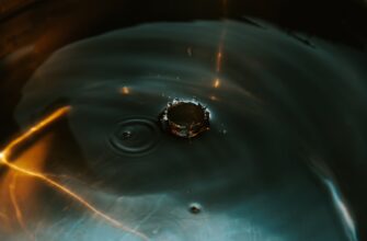 klast na depozit jefirium na rocket pool dlja novichkov