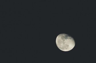 kriptovaljuta luna2