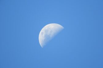 kriptovaljuta moon2
