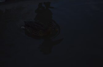 kriptovaljuta rare2