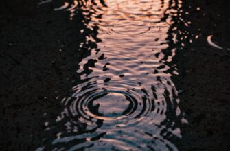 kriptovaljuta ripple kurs3