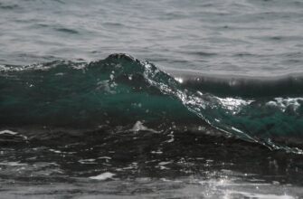kriptovaljuta waves2
