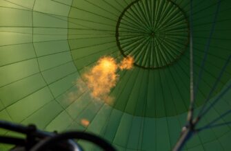 nuzhno li soobshhat airdrop dohod v gruzii