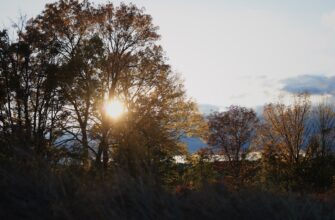 obmenjat sol za rubli nalichnymi v kazahstane poshagovo