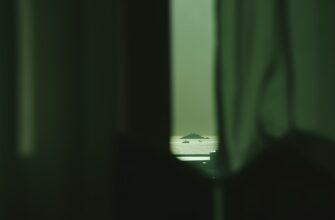 passivnyj dohod cardano na compound poshagovo
