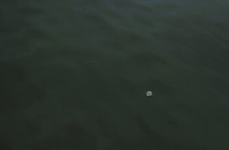 passivnyj dohod usdt na kraken staking