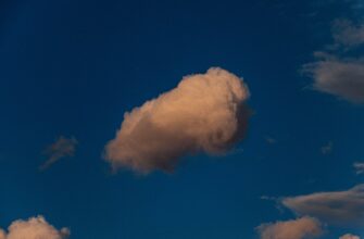 poluchit besplatno jefirium airdrop na polygon bez vlozhenij