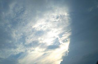 poluchit besplatno sol airdrop na blast bez komissii