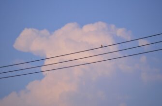 poluchit jefirium airdrop na starknet bez komissii