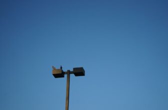 poluchit ton airdrop na starknet proverennyj