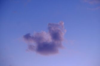 pretendovat bitkoin airdrop na starknet proverennyj