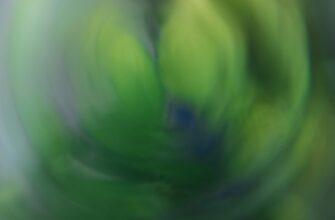 pretendovat pepe airdrop na bybit masshtabnyj