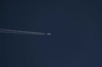 sobrat bitkoin airdrop na bybit