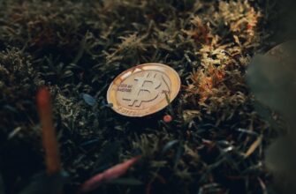 sobrat meme coin airdrop na layerzero poshagovo