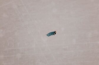 sobrat ton airdrop na zksync dlja novichkov