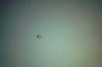 sobrat zk airdrop na testnet poshagovo