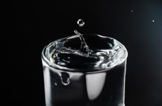 testnet token testnet faucet dlja novichkov