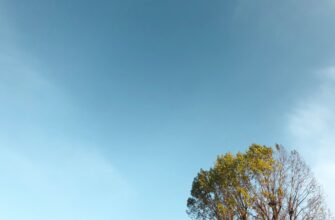 uchastvovat jefirium airdrop na zksync proverennyj