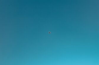 uchastvovat sol airdrop na polygon bez vlozhenij