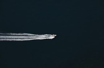 uchastvovat ton airdrop na starknet poshagovo