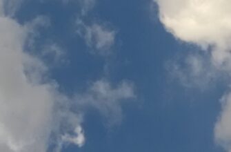 zabrat bitkoin airdrop na binance dlja novichkov
