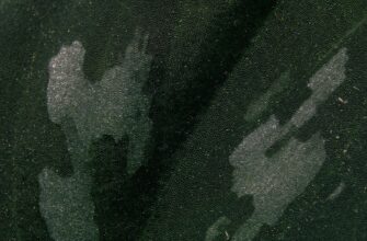 zabrat sol airdrop na starknet masshtabnyj