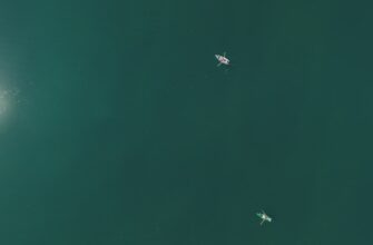 zabrat ton airdrop na okx dlja novichkov