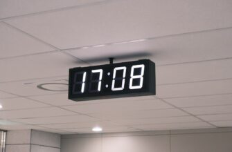 fjuchersnaja torgovlja jefirium na bybit 15 minut nizkij risk