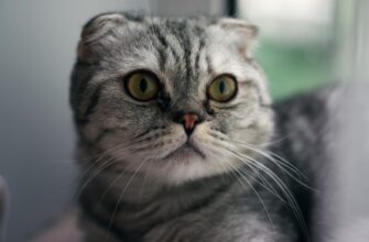 fjuchersnaja torgovlja usdt na huobi poshagovo