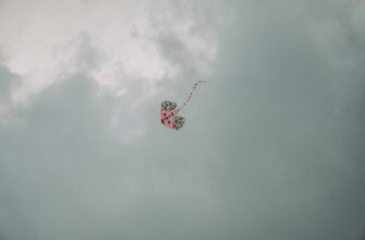 kak uchastvovat jefirium airdrop masshtabnyj
