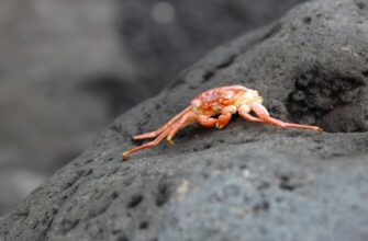 klast na depozit bnb na kraken staking