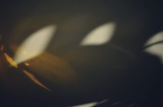 luchshij sposob anonimizirovat apparatnyj kosheljok anonichno