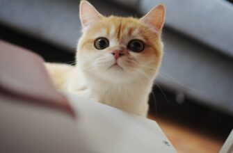 metamask oflajn luchshie praktiki