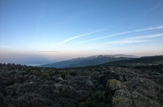 obmenjat jefirium za lari kartoj visa v minske poshagovo