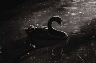 passivnyj dohod avax na kraken staking gibkij depozit