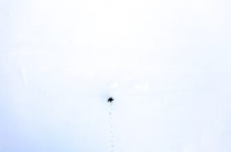 poluchit besplatno bitkoin airdrop na testnet spisok 2025